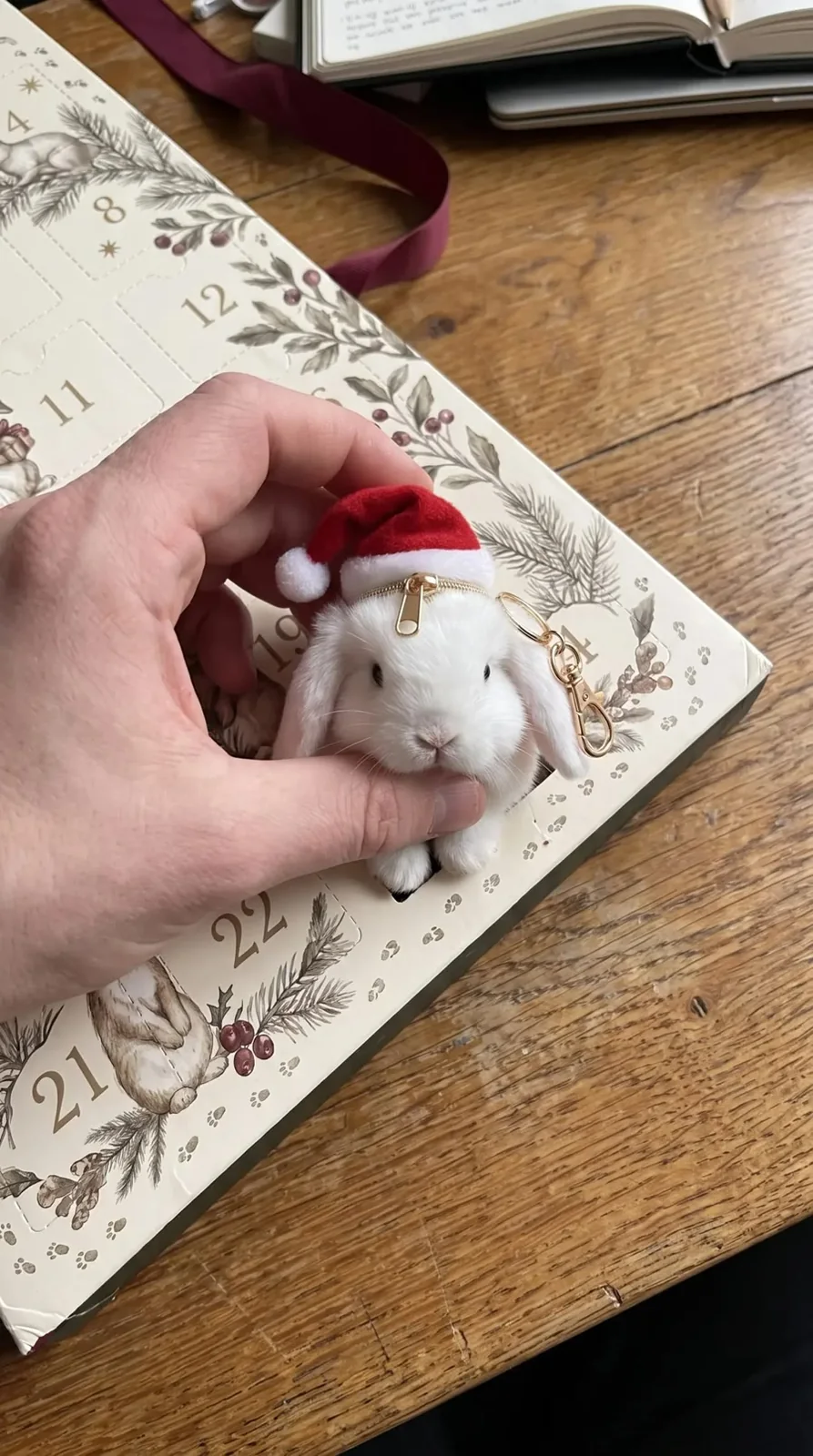 Bunny keychain pouch close-up